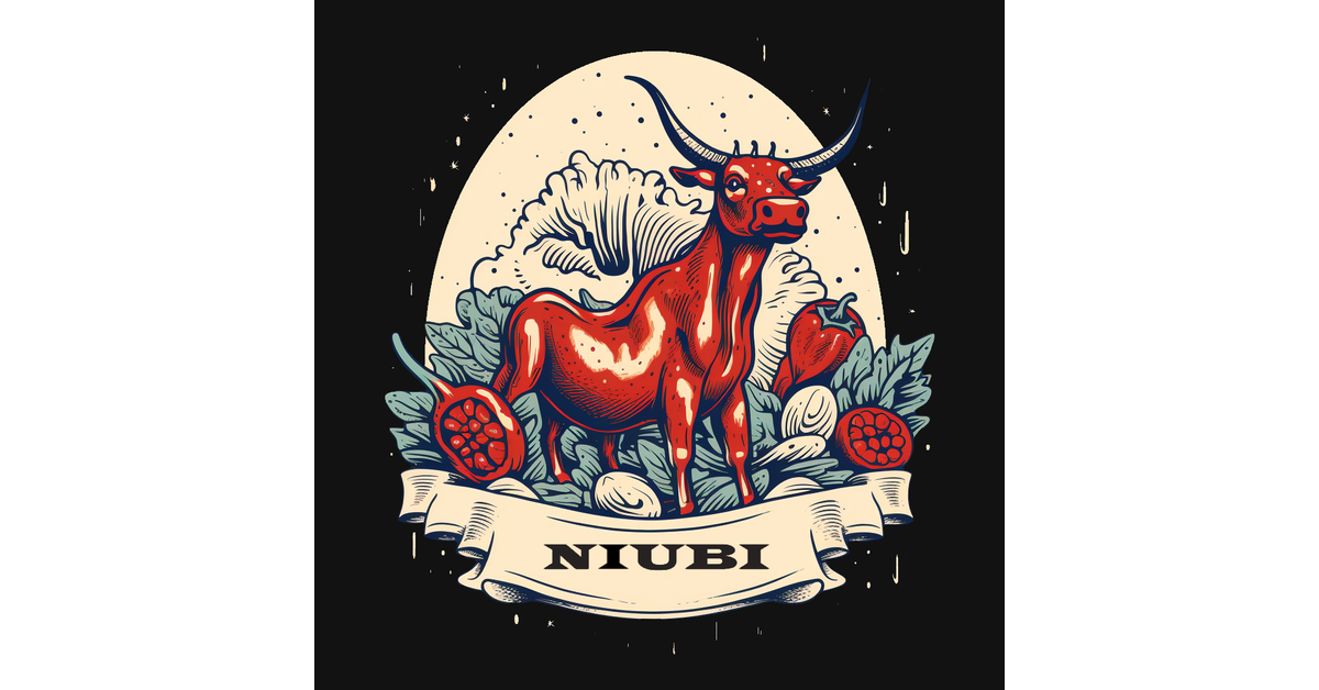 Niubi shop